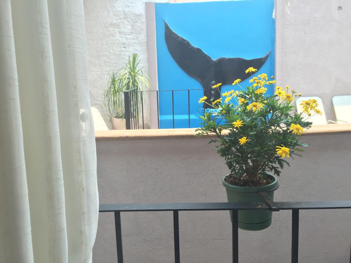 Suites colibri San Miguel de Allende Exterior foto